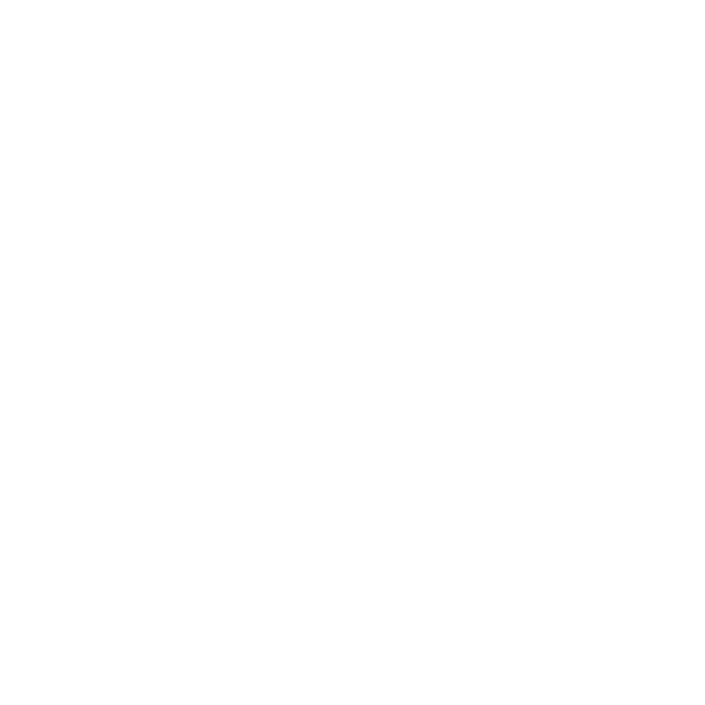 Silvio's Recap